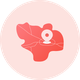 各国首都